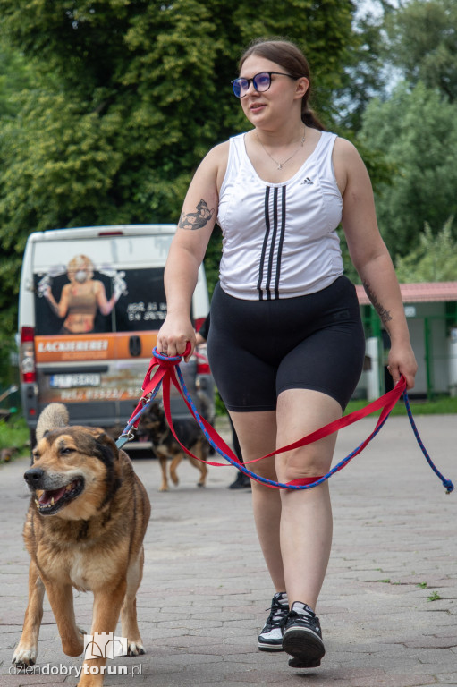 Wyprowadź psa ze schroniska