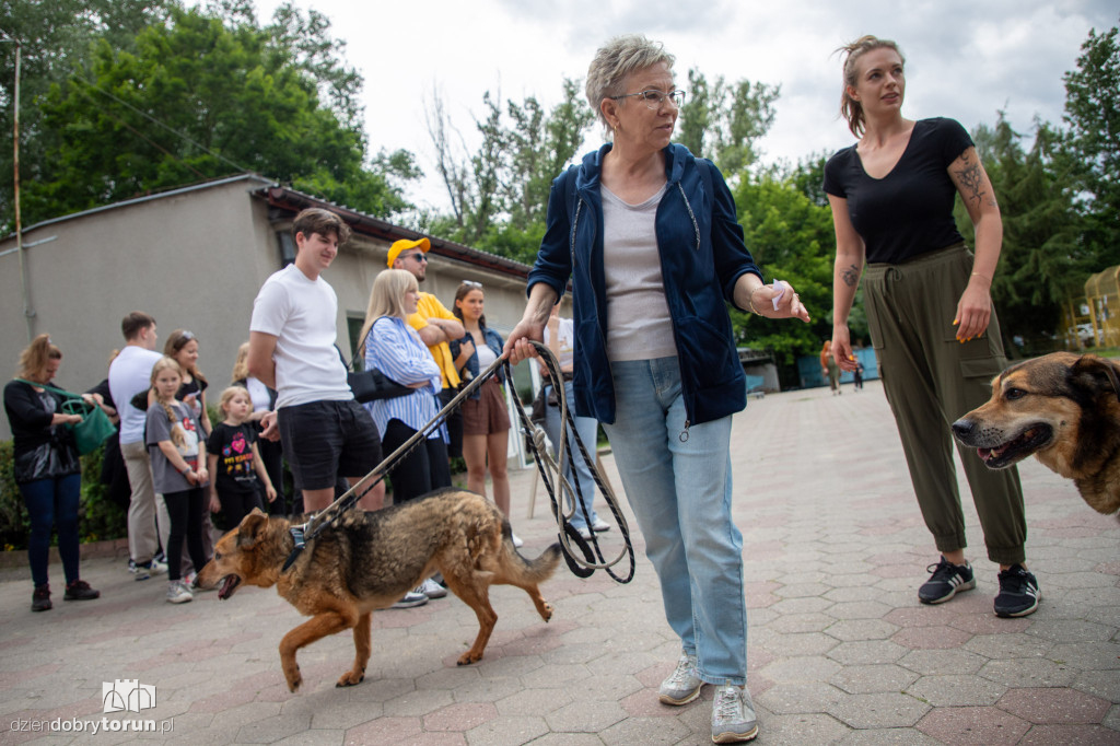Wyprowadź psa ze schroniska
