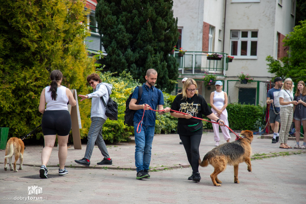 Wyprowadź psa ze schroniska