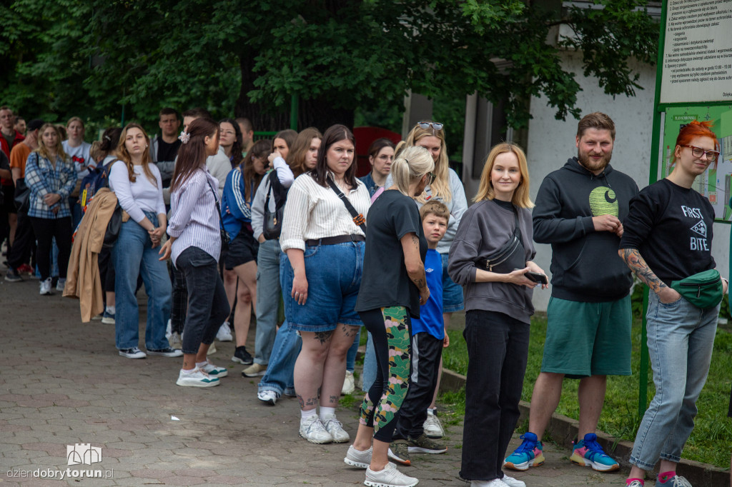 Wyprowadź psa ze schroniska