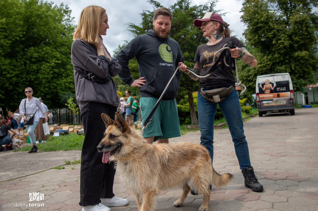 Wyprowadź psa ze schroniska