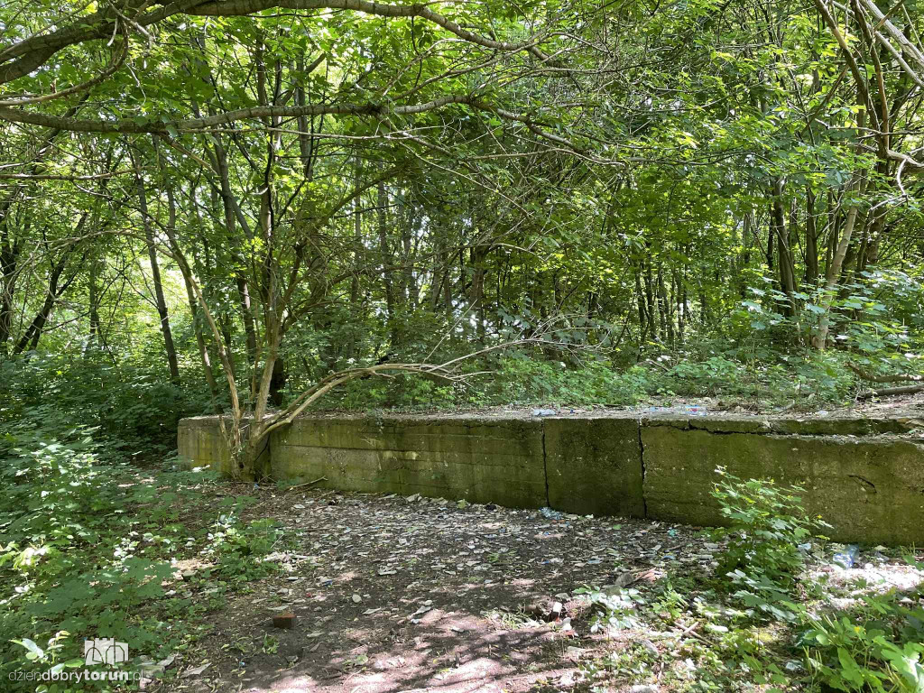 Park Glazja - to tu doszło do próby zabójstwa