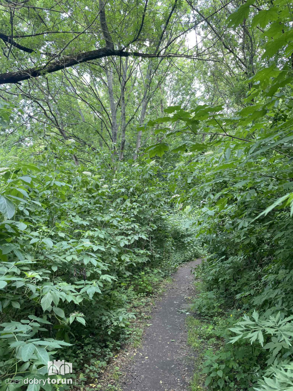 Park Glazja - to tu doszło do próby zabójstwa