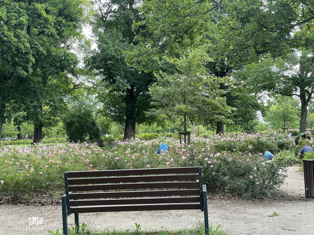 Park Glazja - to tu doszło do próby zabójstwa