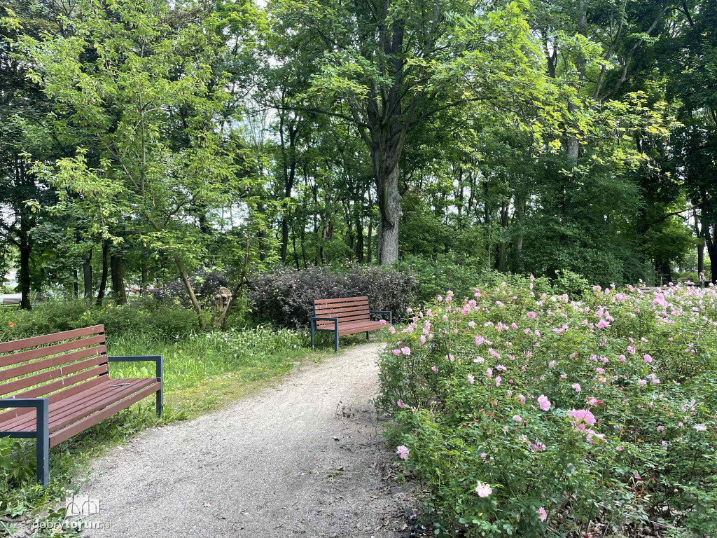 Park Glazja - to tu doszło do próby zabójstwa