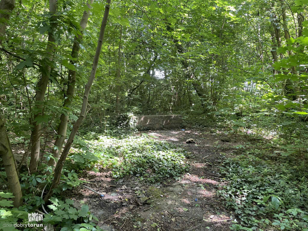 Park Glazja - to tu doszło do próby zabójstwa