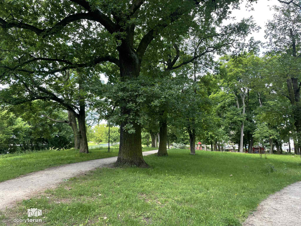 Park Glazja - to tu doszło do próby zabójstwa