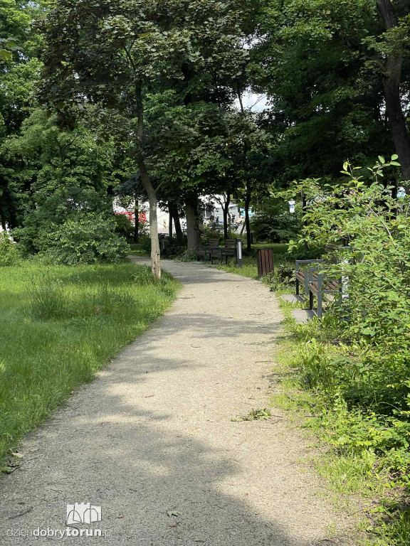 Park Glazja - to tu doszło do próby zabójstwa