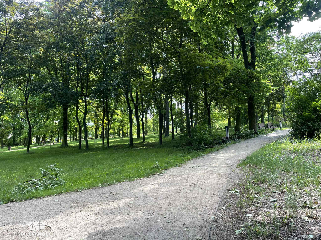 Park Glazja - to tu doszło do próby zabójstwa