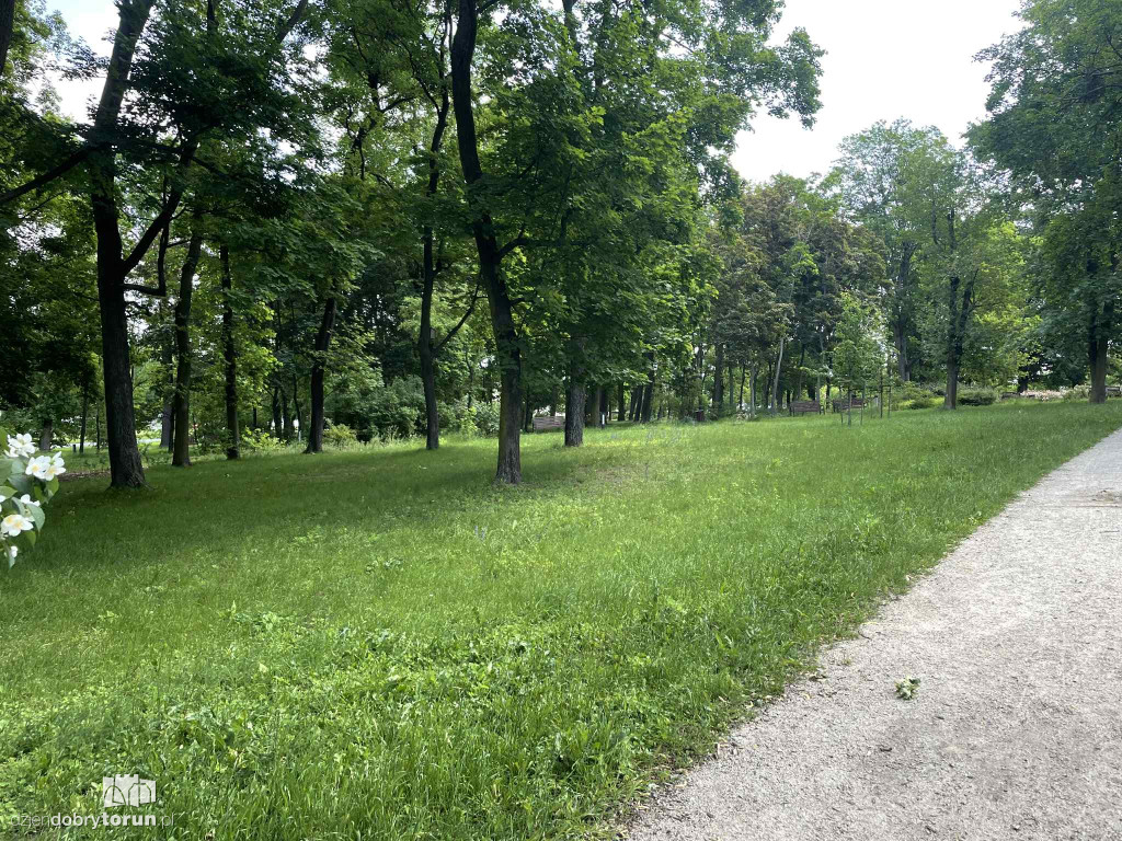 Park Glazja - to tu doszło do próby zabójstwa