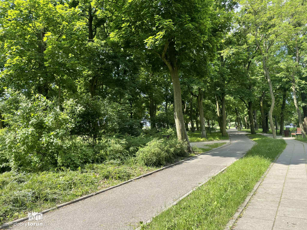 Park Glazja - to tu doszło do próby zabójstwa