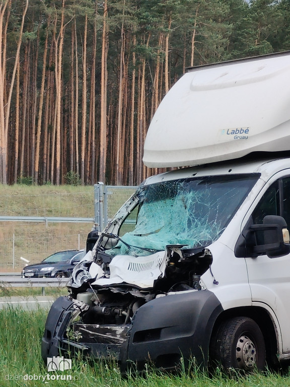 Wypadek na DK91 pod Toruniem