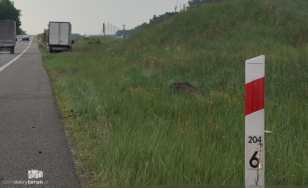 Wypadek na DK91 pod Toruniem