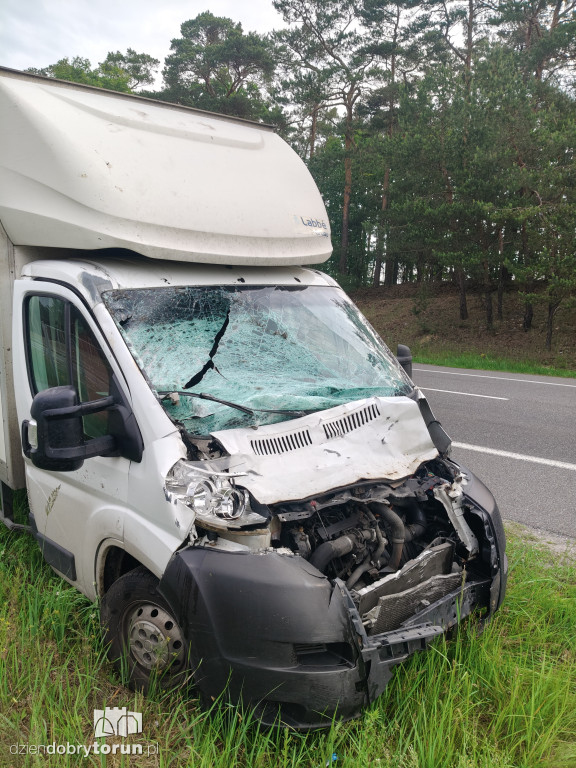 Wypadek na DK91 pod Toruniem