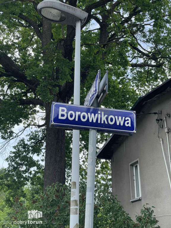Dom na Borowikowej po pożarze