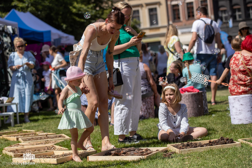Śniadanie na trawie na Rynki Staromiejskim