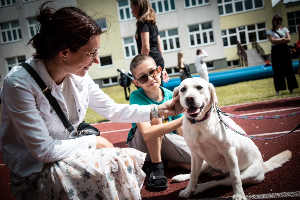 Festyn Fundacji Dorotkowo