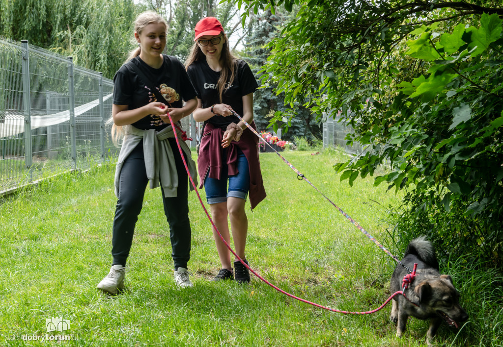 Akcja Wyprowadź psa w schronisku