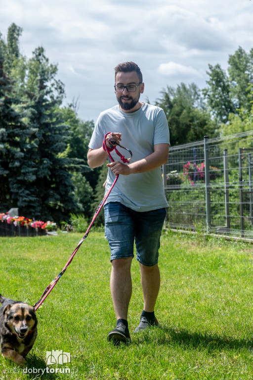 Akcja Wyprowadź psa w schronisku