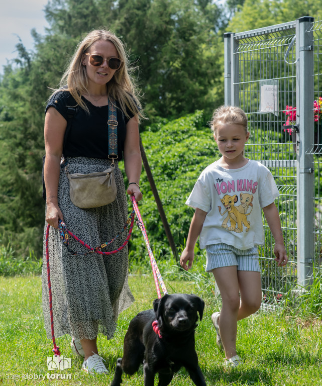 Akcja Wyprowadź psa w schronisku