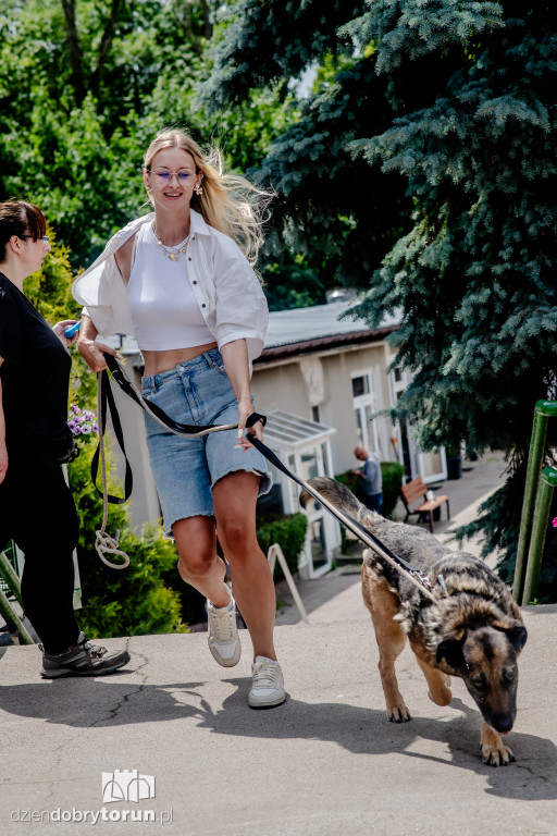 Akcja Wyprowadź psa w schronisku