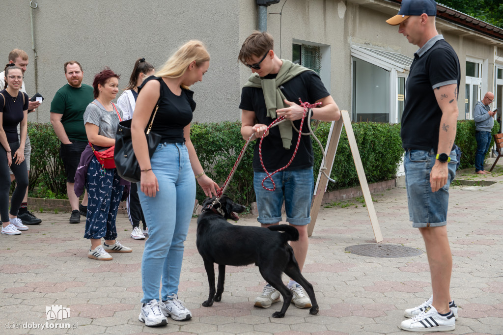 Akcja Wyprowadź psa w schronisku