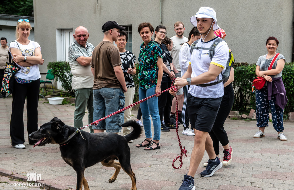 Akcja Wyprowadź psa w schronisku