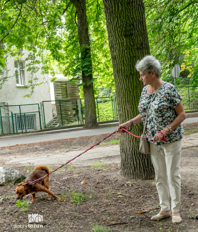 Akcja Wyprowadź psa w schronisku