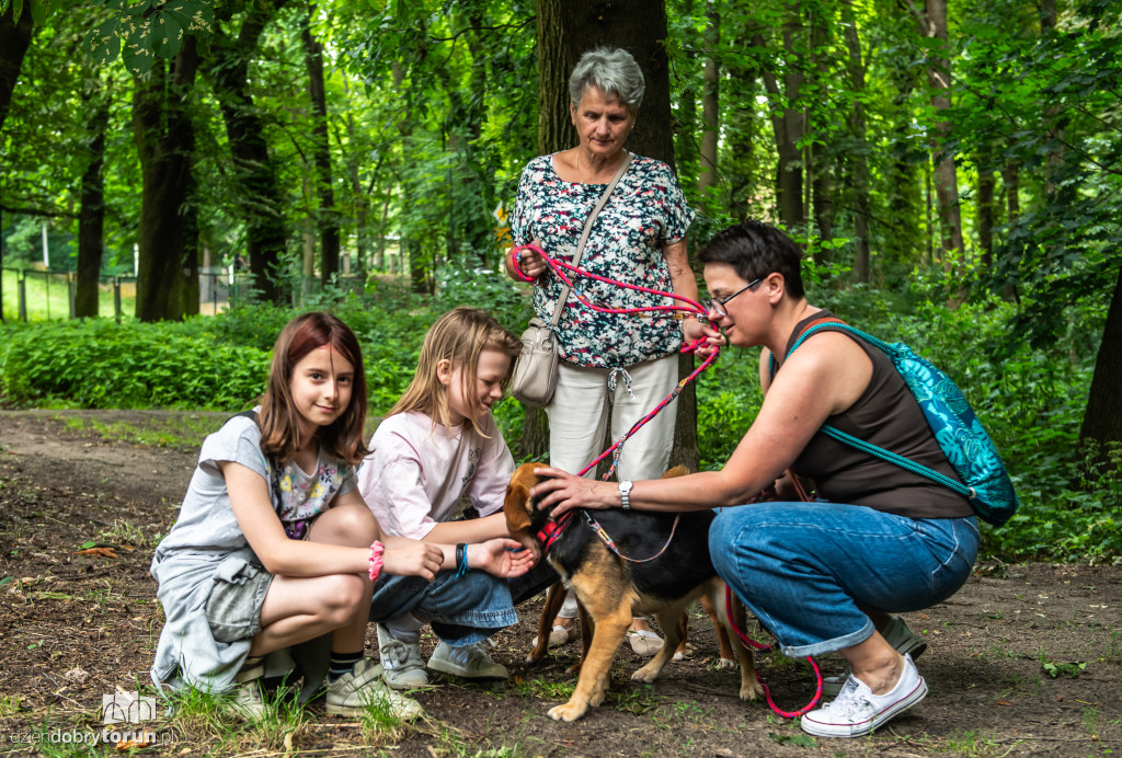 Akcja Wyprowadź psa w schronisku