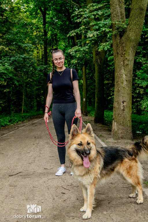 Akcja Wyprowadź psa w schronisku