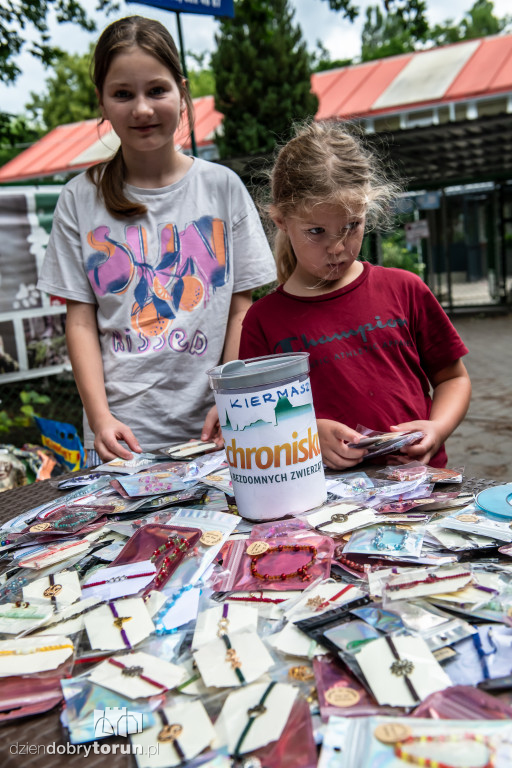 Akcja Wyprowadź psa w schronisku