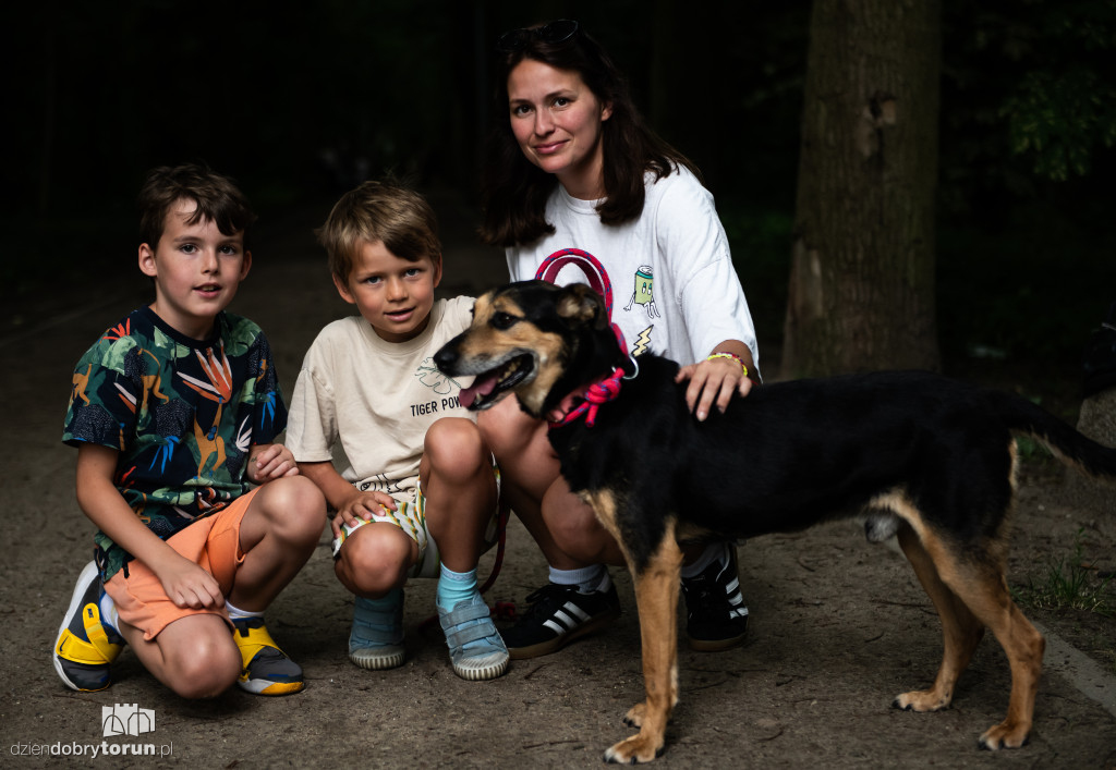 Akcja Wyprowadź psa w schronisku
