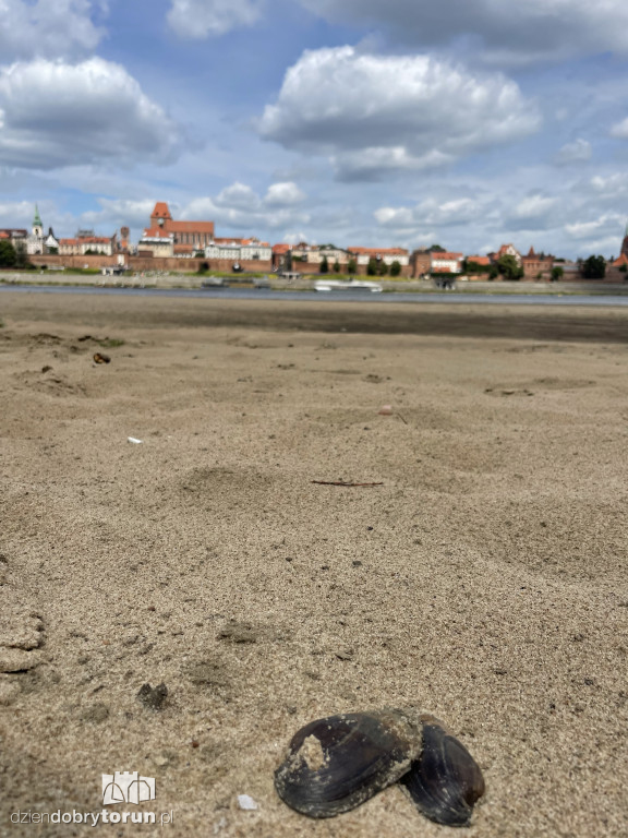Na Wiśle coraz większe łachy