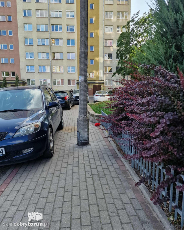 Tak parkuje się w Toruniu