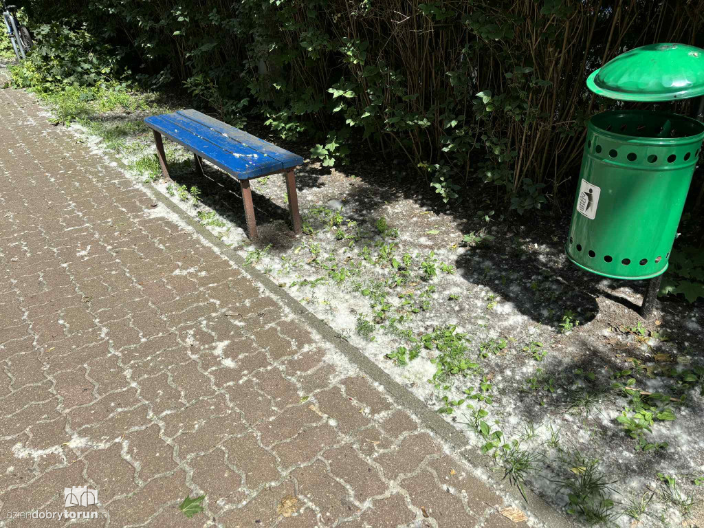 Na Koniuchach biało!