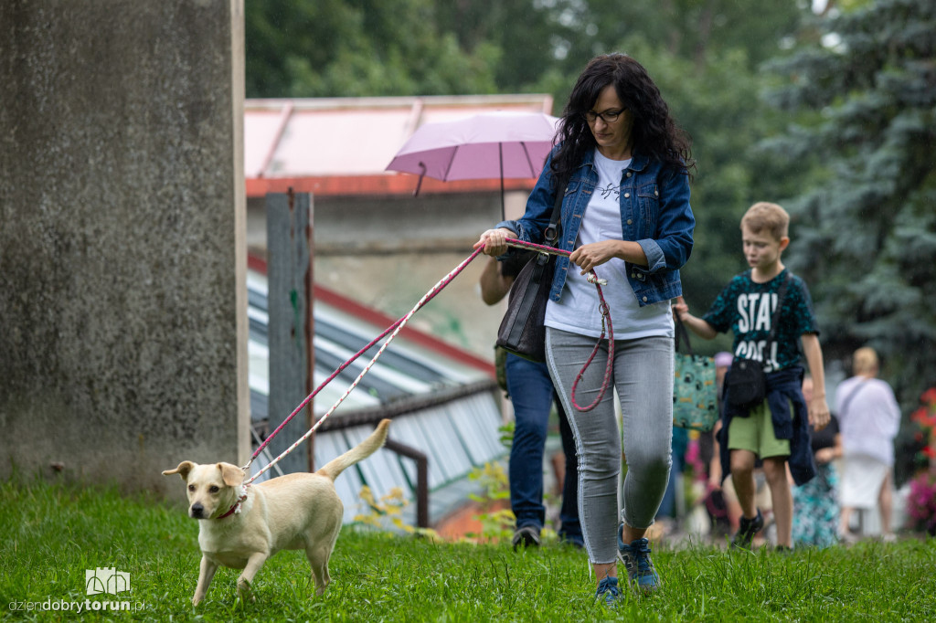 Wyprowadź psa ze schroniska