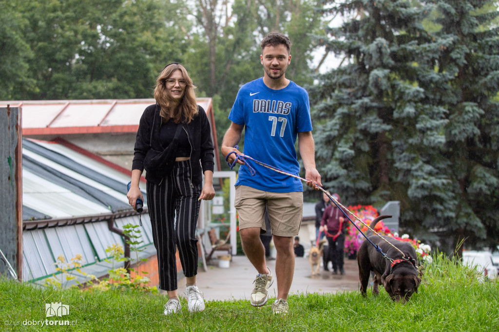 Wyprowadź psa ze schroniska