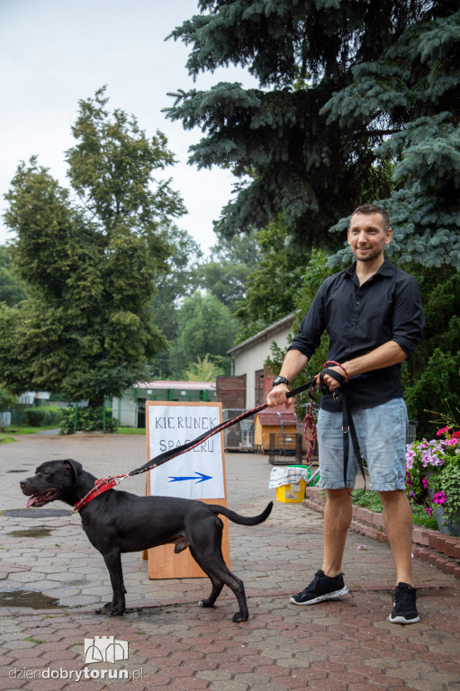 Wyprowadź psa ze schroniska