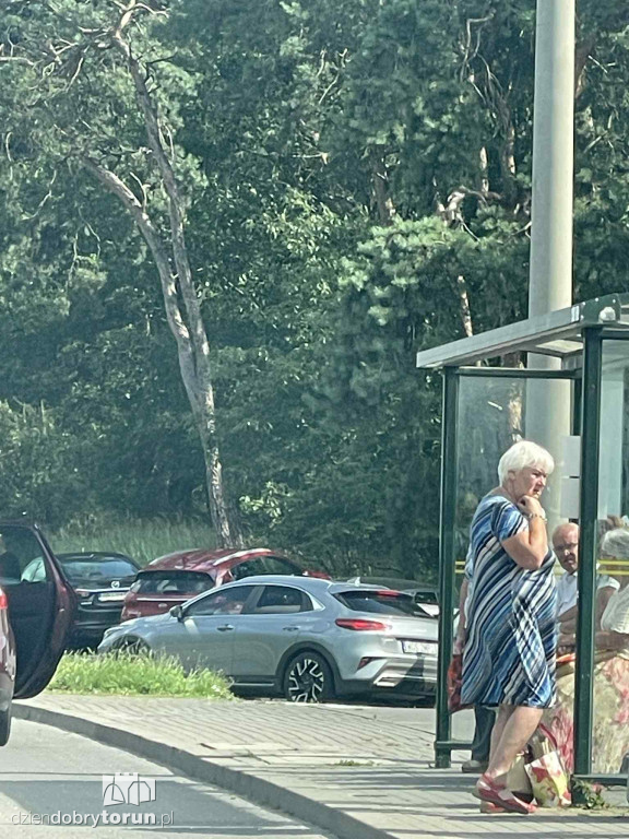 Tak parkuje się przy świątyni o. Rydzyka
