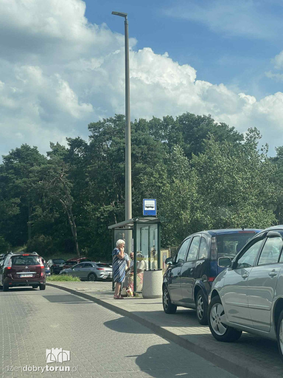 Tak parkuje się przy świątyni o. Rydzyka