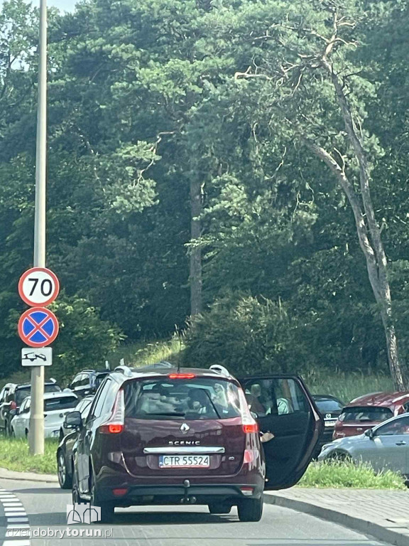 Tak parkuje się przy świątyni o. Rydzyka
