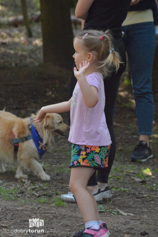 10 lat Parkrunu w Toruniu