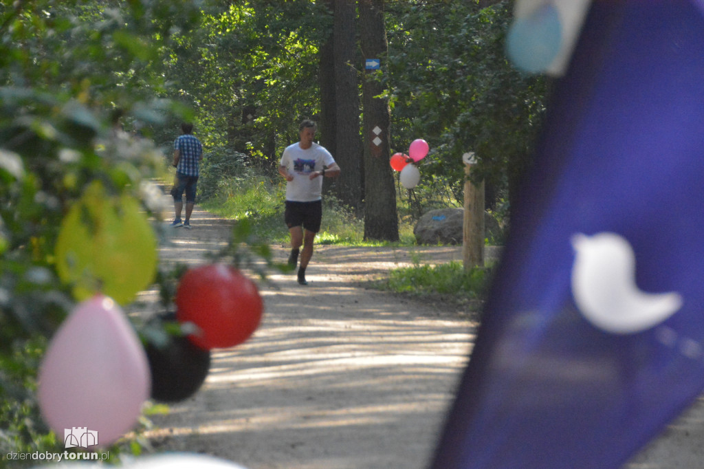 10 lat Parkrunu w Toruniu