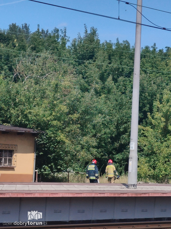 Pożar przy ul. Kujawskiej w Toruniu