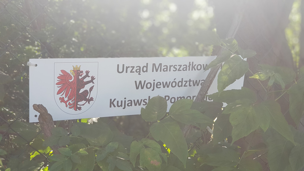 Co się dzieje na basenie w Ciechocinku?