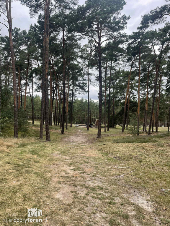 45 lat od największej katastrofy kolejowej