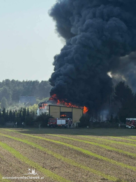 Potężny pożar hali. Rodzina prosi o pomoc