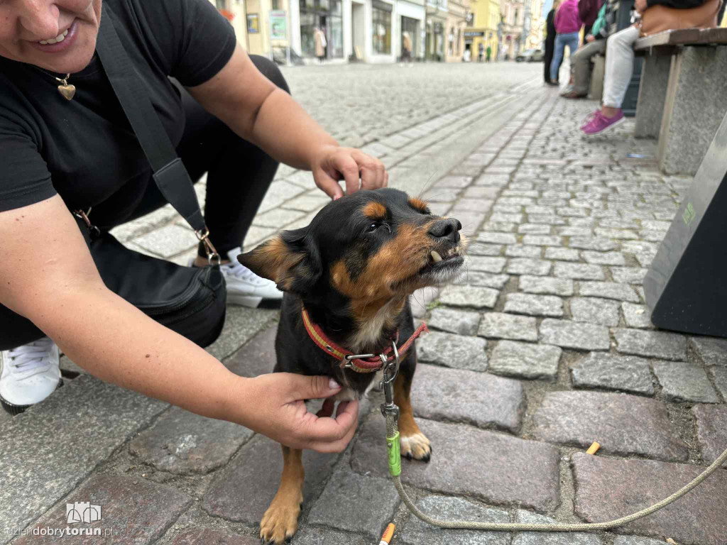 Darek z Pindolem idą na Hel