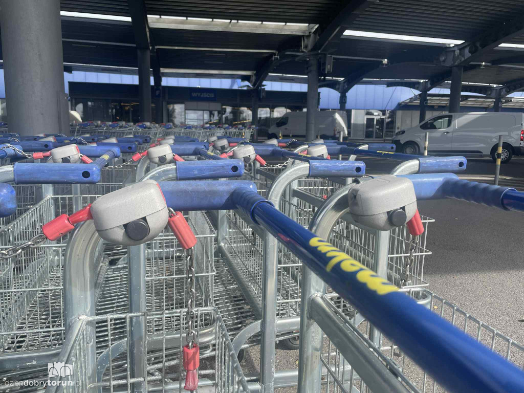 Makro w Toruniu