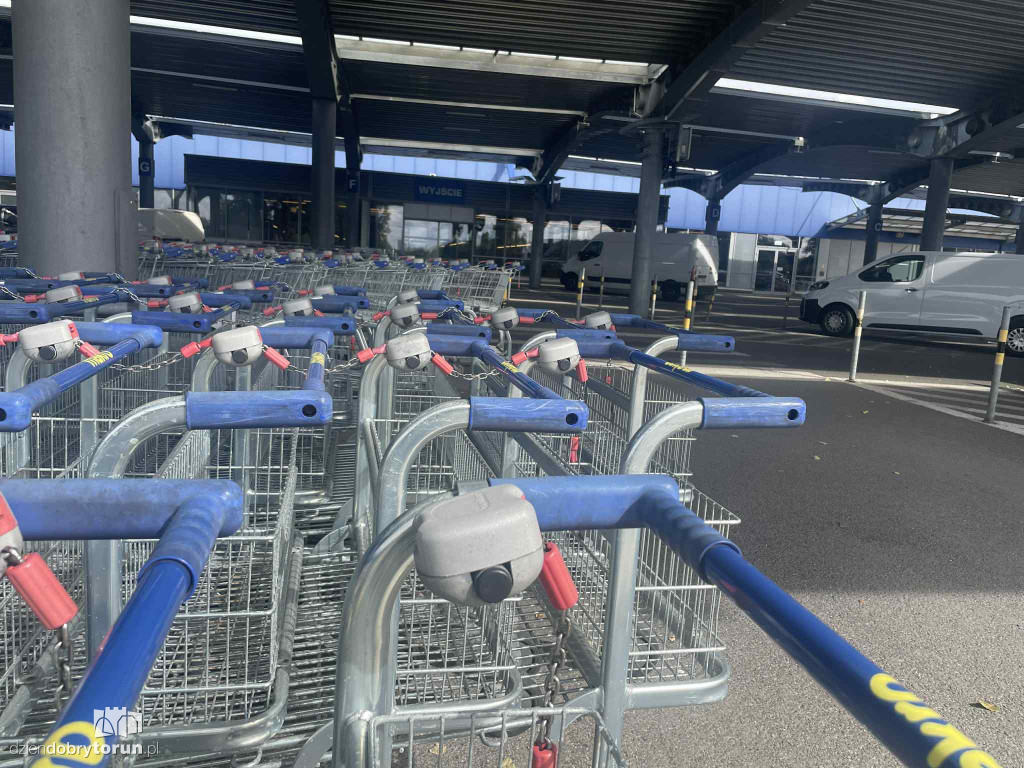 Makro w Toruniu